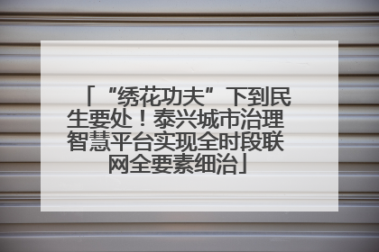 “绣花功夫”下到民生要处！泰兴城市治理智慧平台实现全时段联网全要素细治